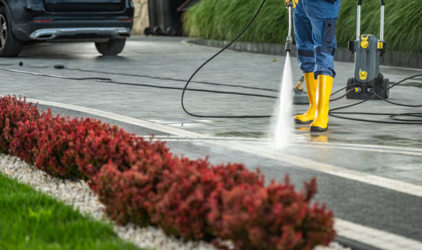 Best Sidewalk and Walkway Cleaning  in Chewelah, WA